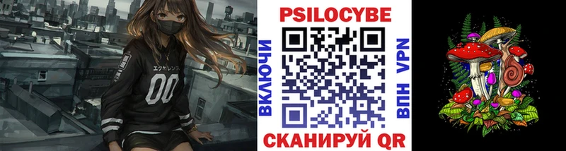 Купить закладки  Кадников  Псилоцибиновые грибы Psilocybe 